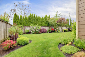 Lush Gardens for your backyard