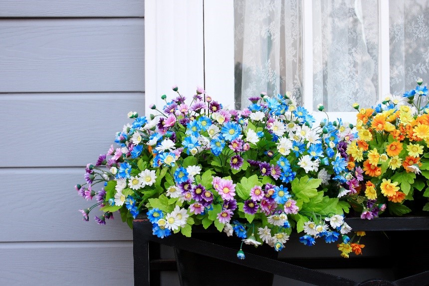 Tips for decorating window boxes