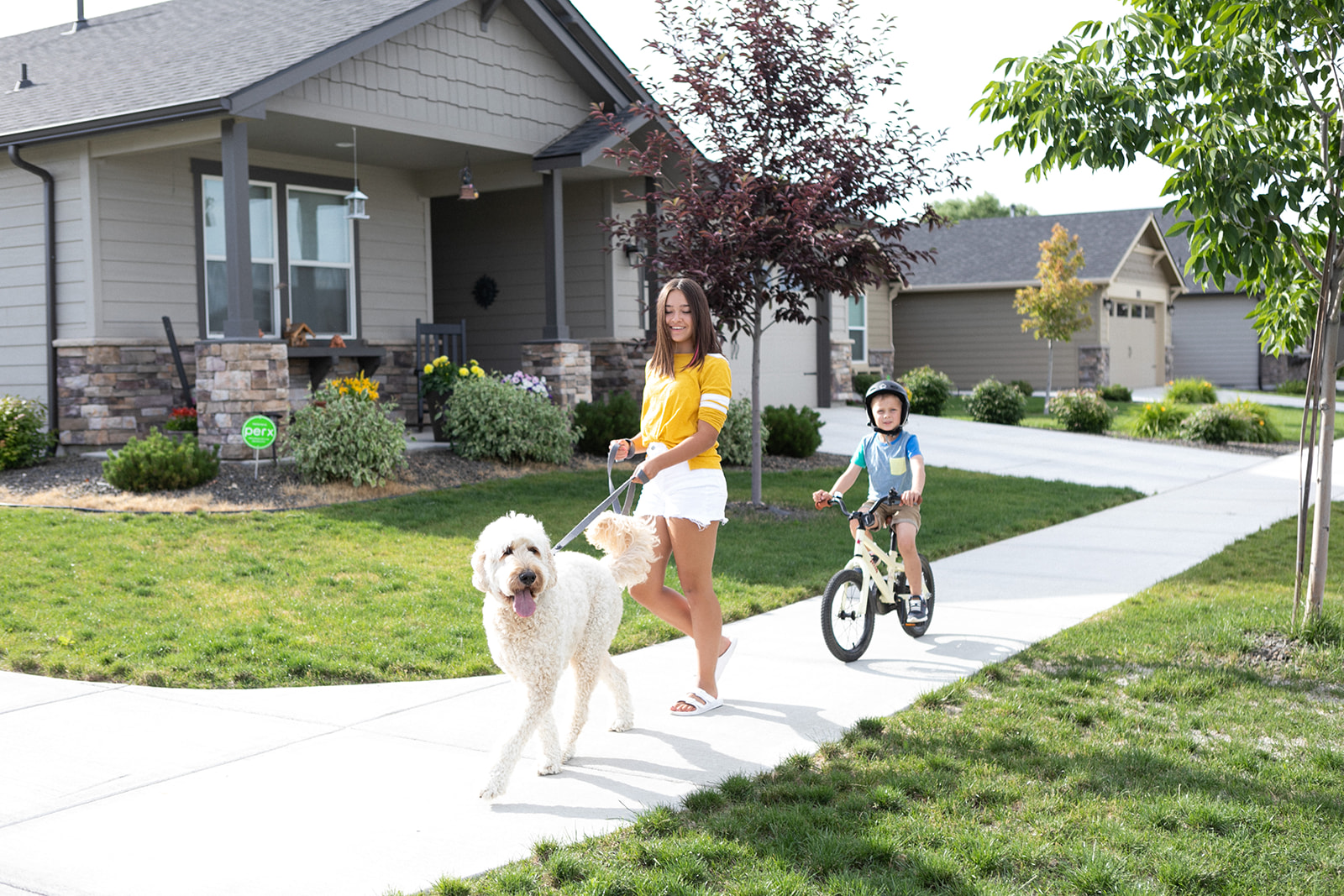 Moving with Your Pet The Ultimate Guide Front Door Blog by Hayden Homes