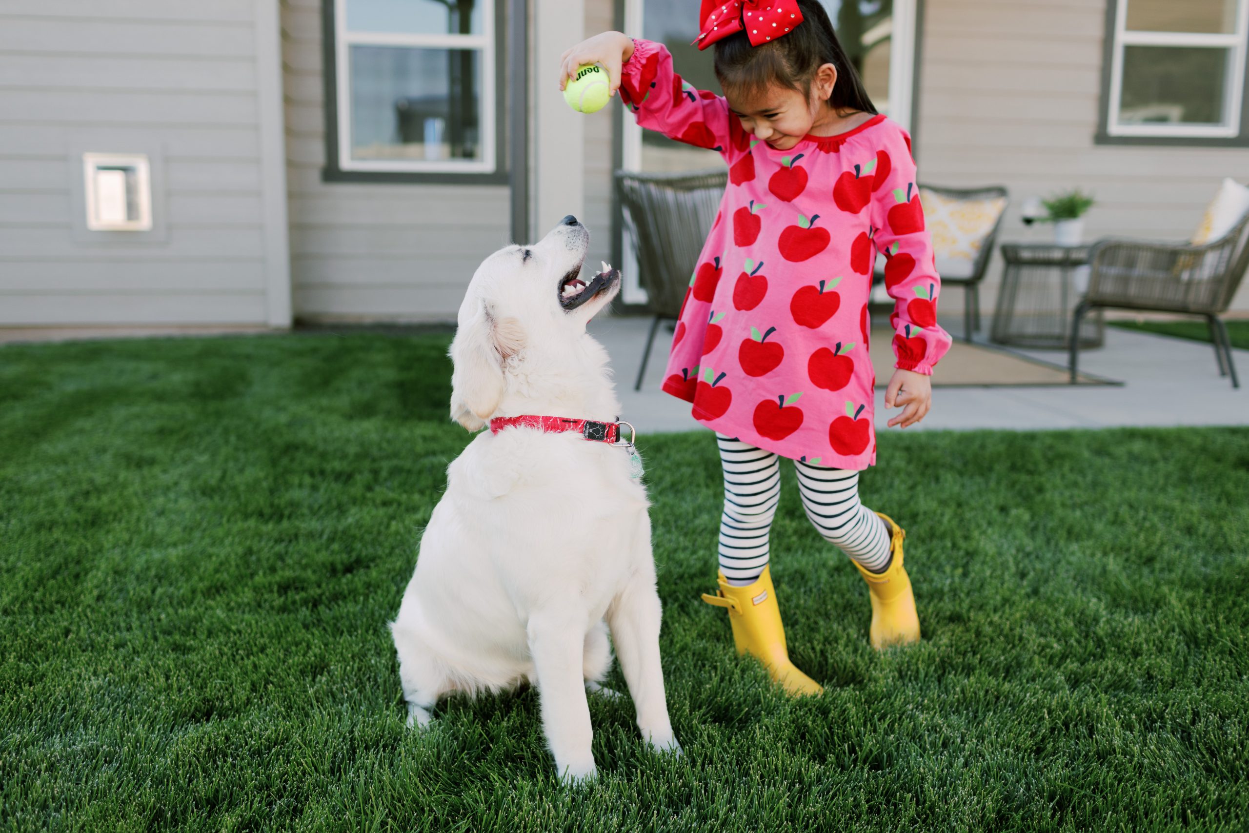 Helping pets adjust to a new home front door blog by hayden homes