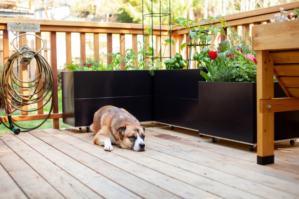 Does a Deck Add Value to Your Home?
