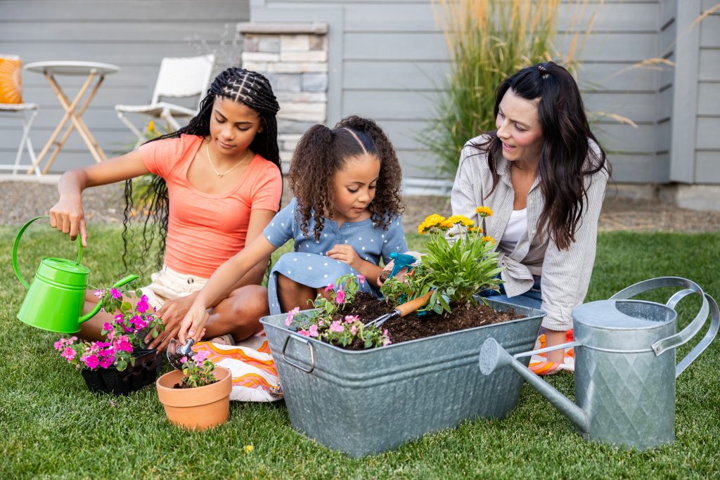 Outdoor Living Tips to Elevate Your Backyard